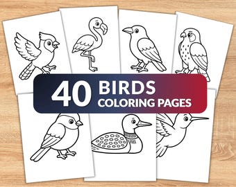 40 Birds Coloring Pages for Kids, Easy Bird Coloring Book, Printable Bird Coloring Sheets, Cute Animal Coloring Pages, Digital Download PDF