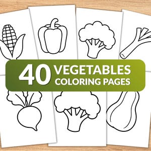 Op de afbeelding: Een verzameling witte vellen papier met zwarte lijntekeningen van diverse groenten, waaronder maïs, paprika, broccoli, prei, radijs en pompoen, met een groene banner die de tekst 40 VEGETABLES COLORING PAGES weergeeft.