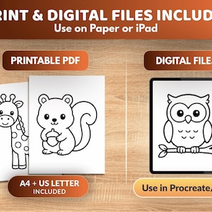 K&ouml;nnte beinhalten: Ausmalbilder als Druck- und Digitaldateien mit einer Giraffe, einem Eichh&ouml;rnchen mit Eichel und einer Eule auf einem Ast. Der Text umfasst PRINT & DIGITAL FILES INCLUDED, Use on Paper or iPad, PRINTABLE PDF, DIGITAL FILES, A4 + US LETTER INCLUDED und Use in Procreate/iPad.