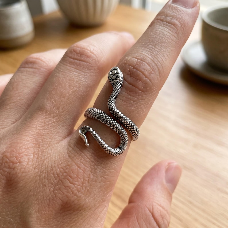 Pode incluir: Um anel de tom prateado em forma de serpente enrolada que envolve o dedo. A superf&iacute;cie met&aacute;lica apresenta um padr&atilde;o de escamas detalhado e texturizado em todo o corpo da serpente, com uma cabe&ccedil;a definida e uma cauda afilada.