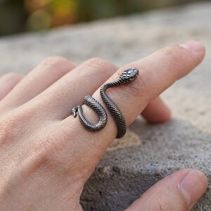 Pode incluir: Um anel cinza-chumbo escuro em forma de serpente enrolada. A banda de metal apresenta um padr&atilde;o texturizado semelhante a escamas em toda a sua superf&iacute;cie, com a cabe&ccedil;a da serpente sobre o dedo e a cauda curvando-se para completar o design.