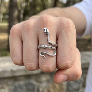 Pode incluir: Um anel de metal prateado em forma de serpente enrolada. O design apresenta um padr&atilde;o texturizado semelhante a escamas que cobre todo o corpo da serpente, com a cabe&ccedil;a posicionada no topo e a cauda a envolver o dedo para formar o aro.