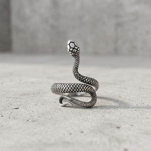 Pode incluir: Um anel de metal prateado em forma de serpente enrolada. O design apresenta um padr&atilde;o de escamas detalhado e texturizado por todo o corpo e cabe&ccedil;a da serpente, com a cabe&ccedil;a elevada e a cauda curvando-se para formar o aro do anel.