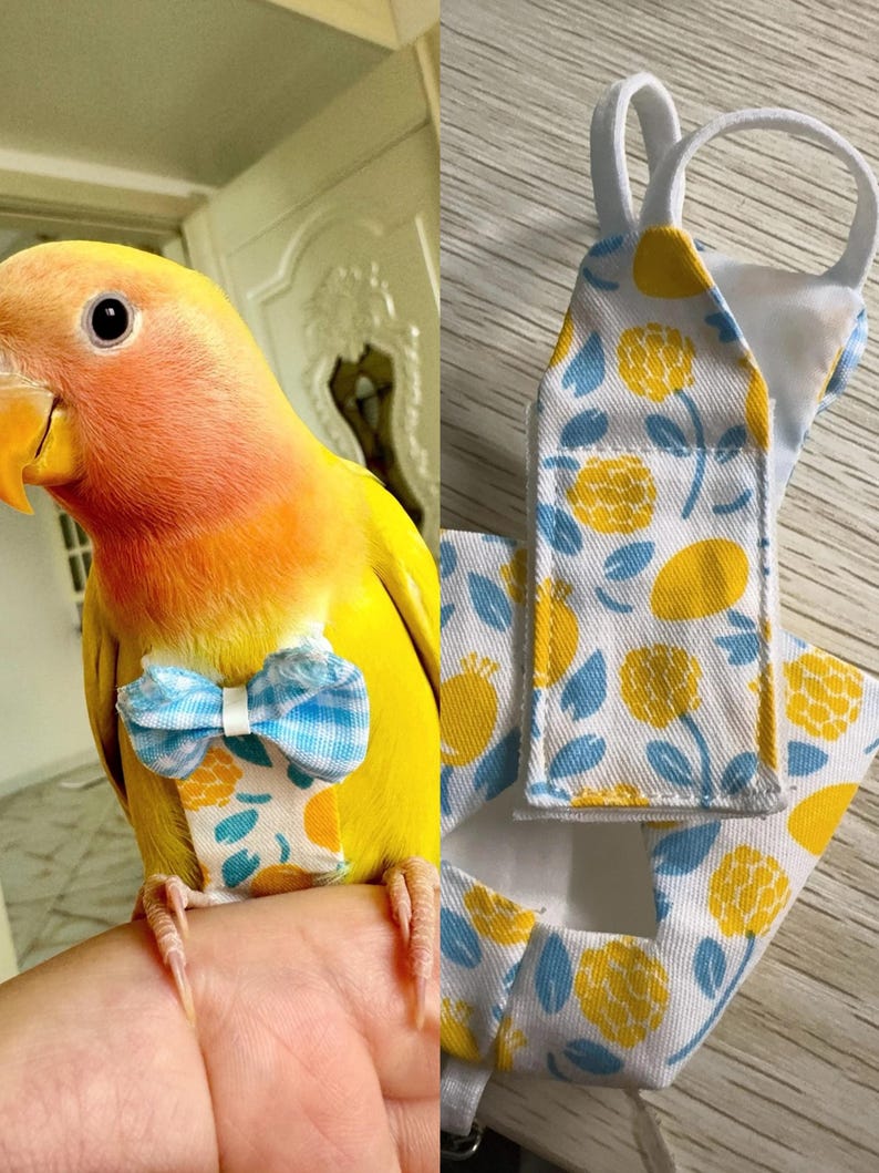 Custom Bird Diaper Flight Suit With Bow – Washable Parrot Nappy for ...