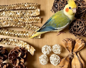 Kit de juguetes naturales para aves, piezas orgánicas para la búsqueda de alimento para loros, periquitos, cacatúas y cotorras.