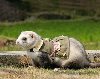 Cottagecore Guinea Pig Harness and Leash Set, Small Animal Dress for Rabbits Chinchillas Ferrets, Pastoral Pet Outfit, Photoshoot Prop Gift