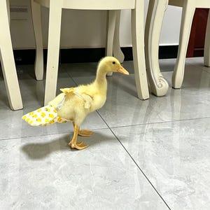 以下が含まれることがあります： 黄色いアヒルのひなは、黄色のアヒルの模様が入った白いおむつを履いています。アヒルのひなは、クリーム色のテーブルの脚の近くにあるタイルの床に立っています。