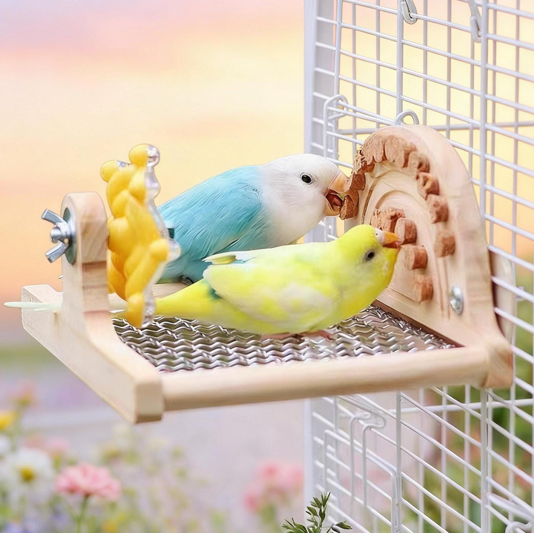 鳥　ゲージ　セキセイインコ　オカメインコなど セキセイインコのケージ - Etsy 日本