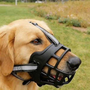 May include: A black muzzle with a cage-like design is fitted on a golden retriever's snout. The muzzle has reflective straps for visibility. The dog is outdoors, with green grass and foliage in the background.