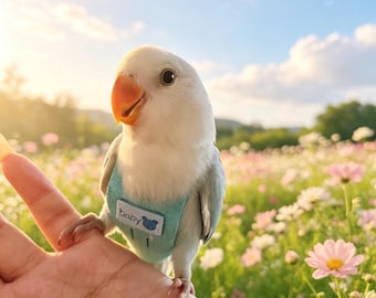 Conjunto de arnés y correa ajustables para loros - Traje de vuelo de gamuza suave para cacatúas, cotorras, agapornis - Chaleco de entrenamiento para exteriores a prueba de escapes
