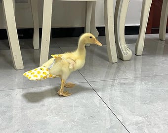 Arnés ajustable hecho a mano para pañales de pato con pajarita, ropa impermeable para patitos, atuendo lavable y reutilizable para mascotas, para aves de corral de interior.