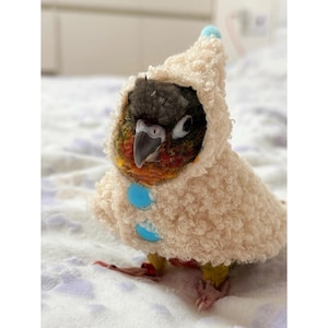 Könnte beinhalten: Ein kleiner Vogel, der einen cremefarbenen Kapuzenmantel mit blauen Knöpfen trägt. Der Vogel hat einen schwarzen Kopf, eine rote und orangefarbene Brust und einen grauen Schnabel. Der Mantel hat eine flauschige Textur und einen blauen Bommel auf der Kapuze.