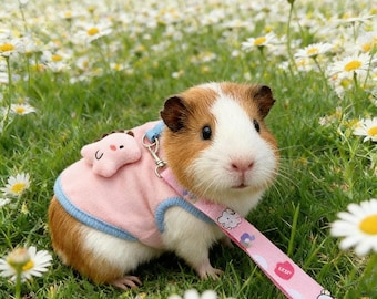 Conjunto de arnés y correa para cobayas estilo cottagecore – Chaleco para paseo por el prado con adornos 3D