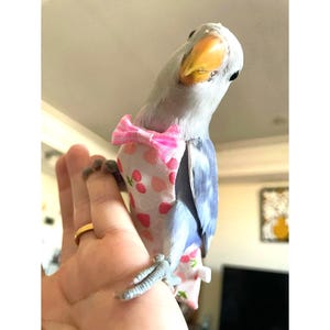 May include: A pale blue and white bird wearing a pink bow and a strawberry-patterned outfit. The bird has a yellow beak and is perched on a hand with a gold ring.