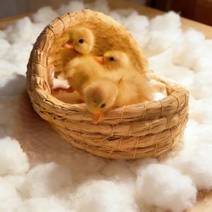 Natural Hand-Woven Straw Nest Bed for Birds, Hamsters, Guinea Pigs, Ducklings, Chicks, Reptiles