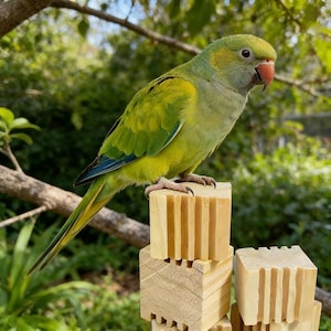 Puede incluir: Un loro verde y amarillo vibrante con un pico rojo se posa sobre una pila de pequeños bloques de madera de color claro. El plumaje del ave muestra tonos de verde y amarillo, con acentos azules en las alas. El fondo es una vista borrosa de follaje verde.