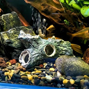 Grotta realistica in resina a forma di tronco d'albero – Rifugio per pesci, decorazione per gamberetti Betta, ornamento per terrario