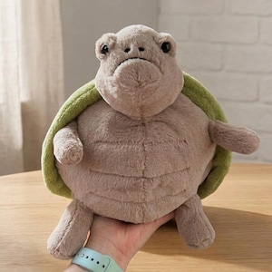 May include: A plush turtle toy with a light brown body, green shell, and small black eyes. The turtle is soft and cuddly, with a slightly grumpy expression. The toy is held in a person's hand, with a light green watch visible.
