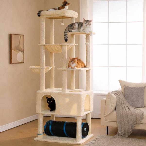Luxury Indoor Cat Condo with Hammock, Tunnel & Scratching Posts