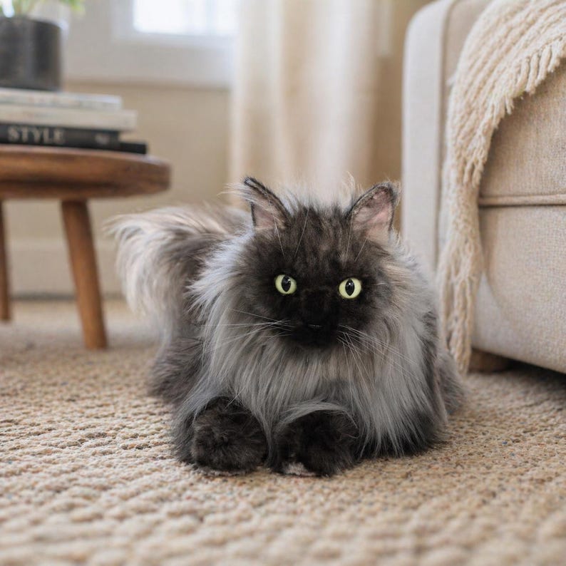 May include: A fluffy, gray cat with green eyes is lying on a beige carpet. The cat has long fur and a dark face. The cat is looking directly at the camera. The background includes a small wooden table and a beige couch.