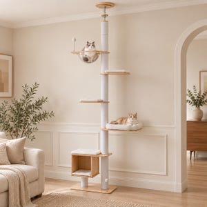 May include: A floor-to-ceiling cat tree featuring a central white pole, light wood platforms, and a square cubby at the base. It includes a clear acrylic bowl perch, multiple soft white cushions on various levels, and two cats resting on the structure.