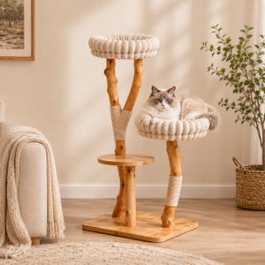 May include: A natural wood cat tree with two beige, plush, circular beds. The cat tree has a square base and a small round platform. A fluffy, light-colored cat is resting on the top bed. The tree is made of natural wood.