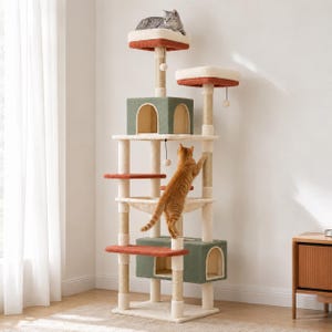 May include: A tall, multi-level cat tree featuring beige sisal-wrapped scratching posts, two sage green enclosed cubbies with arched openings, and several platforms covered in soft cream, orange, and green fabric, with hanging toy balls.