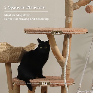 May include: A cat tree with natural wood branches, jute rope wrapping, and two round, plush, peach-colored platforms measuring 19.6 inches in diameter. A black cat sits on the lower platform. Text reads: 2 Spacious Platforms, Ideal for lying down.