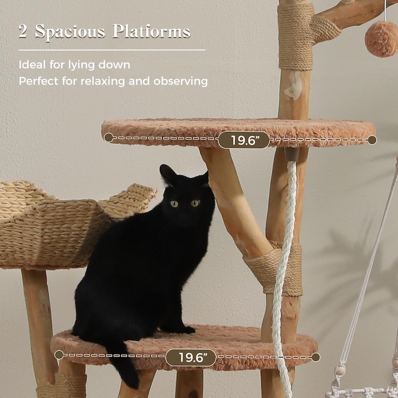 May include: A cat tree with natural wood branches, jute rope wrapping, and two round, plush, peach-colored platforms measuring 19.6 inches in diameter. A black cat sits on the lower platform. Text reads: 2 Spacious Platforms, Ideal for lying down.