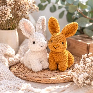 Peut inclure: Deux lapins au crochet faits à la main. L'un est blanc avec l'intérieur des oreilles rose, l'autre est jaune moutarde. Les deux ont des yeux noirs et sont assis sur un tapis tissé. Les lapins sont un ajout charmant à la décoration de Pâques.