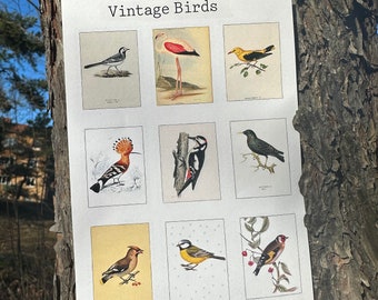 Vintage Vögel Stickerbogen