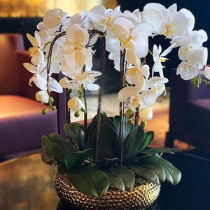 Vitt artificiellt orkidéarrangemang – Real Touch Phalaenopsis i svart vas