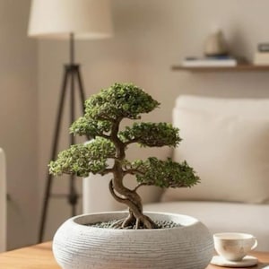 Bonsái de enebro artificial – Bonsái artificial de 25 cm en maceta de cerámica blanca