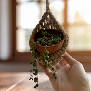 May include: A small terracotta pot containing a String of Pearls plant, held in a handmade jute macrame plant hanger. The plant has small, round, green leaves. The background is blurred, with natural light. The pot is approximately 10 cm in diameter.