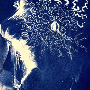 Cyanotype Anatomy Sketch: Cellular Structure Sun Painting