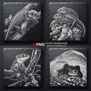 Puede incluir: Un conjunto de cuatro grabados cuadrados en pizarra con ilustraciones detalladas en blanco y negro de lagartos. Los diseños incluyen un lagarto en una rama, tres lagartos apilados, un lagarto en una rama y un lagarto dentro de una cueva de roca.