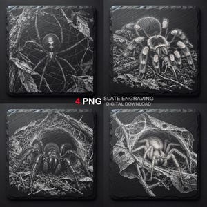 May include: A set of four square slate engravings featuring detailed black and white illustrations of spiders, including a black widow in a web, a tarantula, and two spiders in nests. The text 4 PNG SLATE ENGRAVING DIGITAL DOWNLOAD is visible.