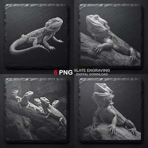 Könnte beinhalten: Vier quadratische Schieferuntersetzer mit gravierten Bildern von Bartagamen. Die Untersetzer sind schwarz mit einer strukturierten Oberfläche. Der Text auf dem Bild lautet "6 PNG SLATE ENGRAVING DIGITAL DOWNLOAD."