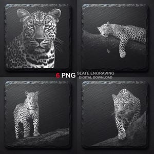 Puede incluir: Juego de cuatro posavasos cuadrados de pizarra con diseños de leopardo grabados. Cada posavasos presenta una imagen diferente de un leopardo en blanco y negro. También se ve el texto "6 PNG" y "SLATE ENGRAVING DIGITAL DOWNLOAD".