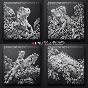 Könnte beinhalten: Ein Set aus vier quadratischen Schiefergravuren mit detaillierten Schwarz-Weiß-Illustrationen von Leguanen, die auf Ästen mit Blättern sitzen. Der Text 4 PNG SLATE ENGRAVING DIGITAL DOWNLOAD ist zwischen den vier Bildern zentriert.
