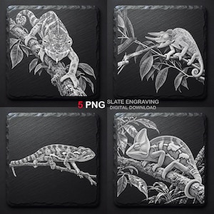 May include: A set of four square slate coasters featuring detailed white line engravings of chameleons perched on branches with leaves. The text 5 PNG SLATE ENGRAVING DIGITAL DOWNLOAD is centred between the images on a dark background.