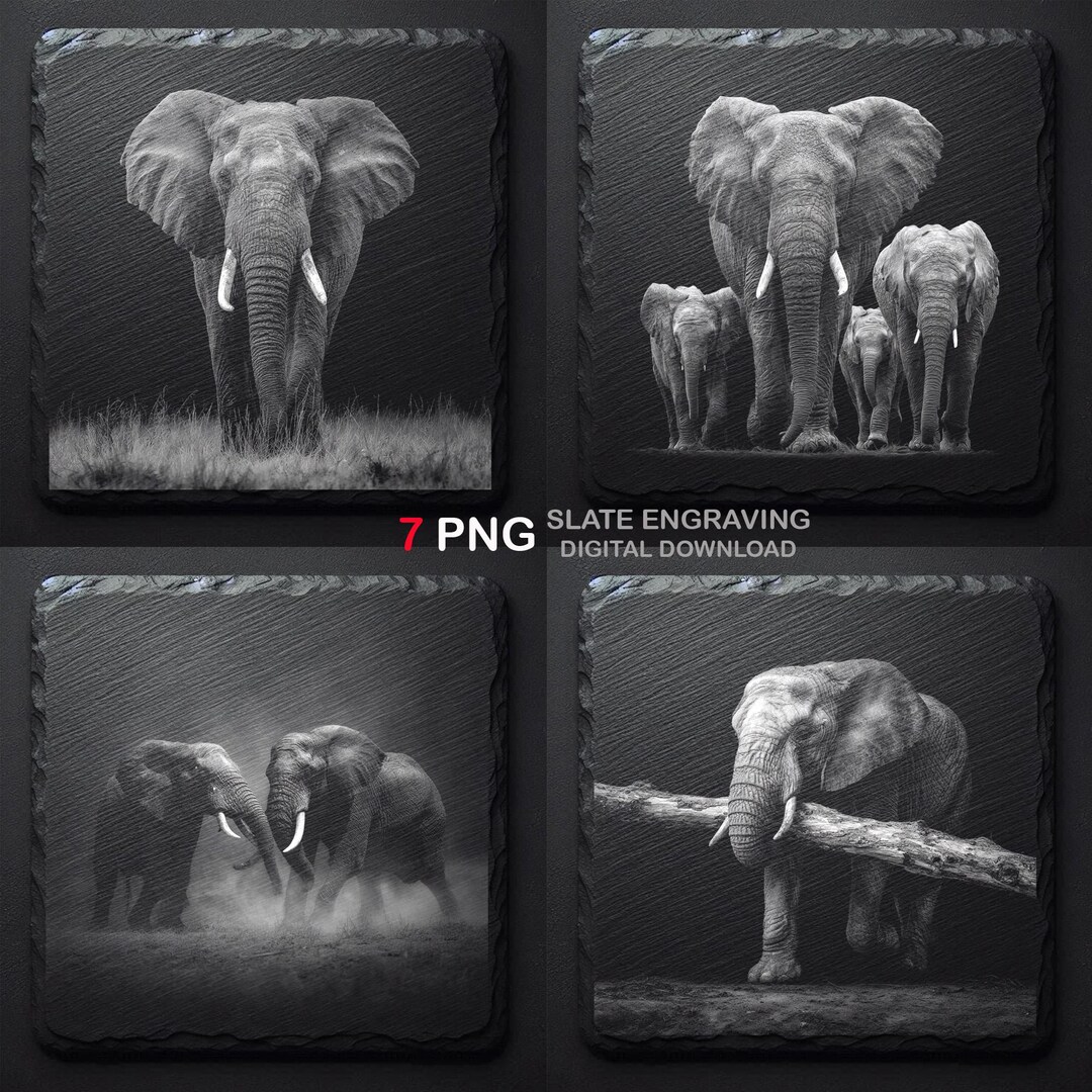 Elephant Engraving PNG Bundle | Wildlife Slate Laser Designs (digital ...