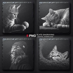 Op de afbeelding: Vier vierkante leistenen onderzetters met gegraveerde kattenafbeeldingen. Eén toont een kat die met een bal speelt, een andere een slapende kat, een derde een kat met een hoed en de laatste een kat die uit een bed gluurt. De tekst "8 PNG" en "SLATE ENGRAVING DIGITAL DOWNLOAD" is ook zichtbaar.