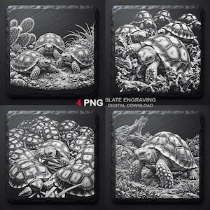 May include: A set of four square slate engravings featuring detailed white line art of tortoises on a black background. The images depict various scenes of tortoises in natural habitats, including cacti and foliage. Text reads 4 PNG SLATE ENGRAVING DIGITAL DOWNLOAD.