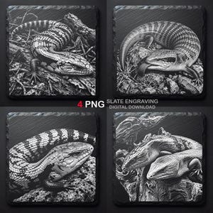 May include: Four square slate engravings featuring detailed black and white illustrations of blue-tongued skinks in natural settings. The text 4 PNG SLATE ENGRAVING DIGITAL DOWNLOAD is centred between the images on a dark background.