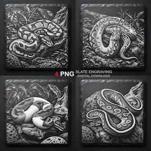 Ball Python Engraving PNG Bundle, Reptile Wildlife Art, Slate Coaster Design (Digital Download)