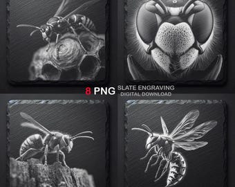 Paquete PNG de grabados de avispas en pizarra: arte detallado de insectos (descarga digital)