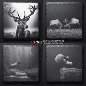 May include: Four square slate coasters featuring black and white engraved images of deer. The images depict a stag with antlers, two deer clashing, a deer leaping over a stream, and a deer on a cliff with a moon.