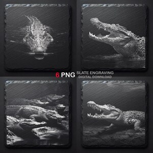 May include: Four square slate coasters featuring engraved crocodile designs in black and white. The images show detailed depictions of crocodiles, including one with its mouth open. The text "6 PNG" and "SLATE ENGRAVING DIGITAL DOWNLOAD" is also visible on the coasters.
