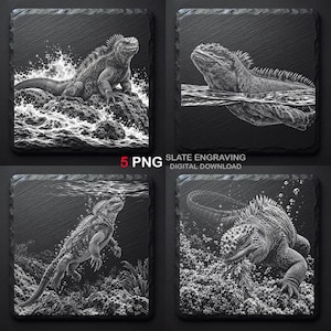 Gravyr av marin leguan i PNG-paket, Galapagosleguan, skifferunderlägg med reptilmotiv, djurliv (digital nedladdning)
